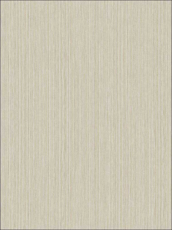 Yarns Effect fabric in soft brown color - pattern number RM70506 - by Casa Mia in the Zircon collection