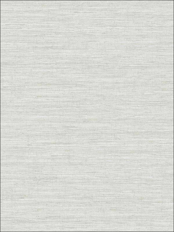 Metallic Texture fabric in grey color - pattern number RM70907 - by Casa Mia in the Zircon collection