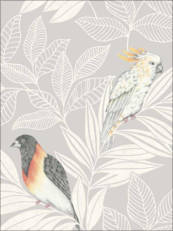 Paradise Island Birds fabric in daydream gray and ivory color - pattern number RY30100 - by Seabrook in the Boho Rhapsody collection