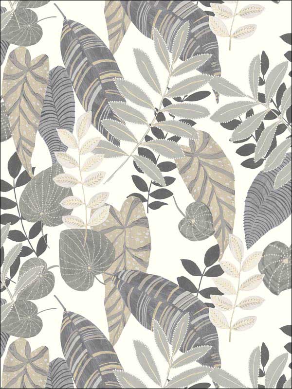 Tropicana Leaves wallpaper in charcoal stone and daydream gray color - pattern number RY30908 - by Seabrook in the Boho Rhapsody collection