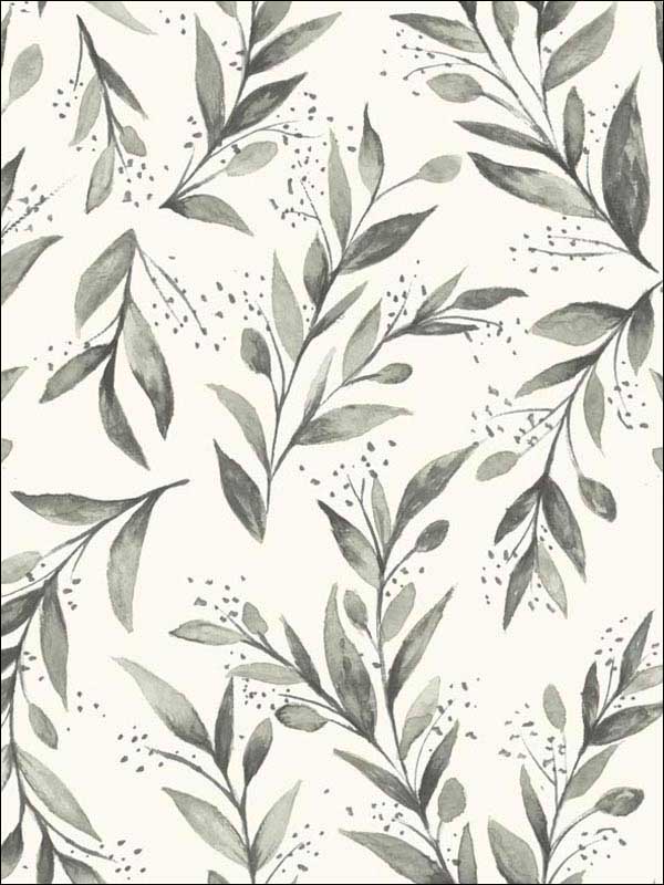 Magnolia Home Olive Branch Peel and Stick fabric in charcoal color - pattern number PSW1003RL - by Magnolia Home by Joanna Gaines in the Magnolia Home Peel and Stick Wallpaper collection