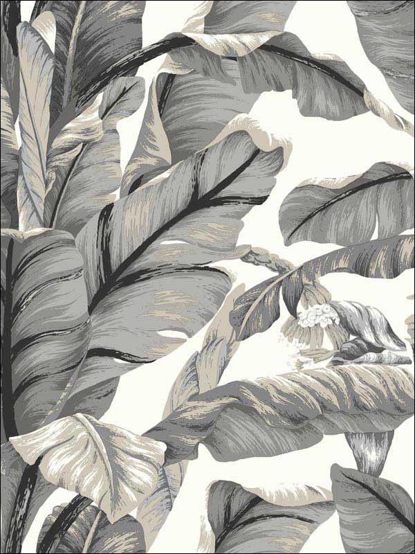 Banana Leaf Peel and Stick wallpaper in white and black color - pattern number PSW1037RL - by York in the York Premium Peel and Stick Tropics Wallpaper collection