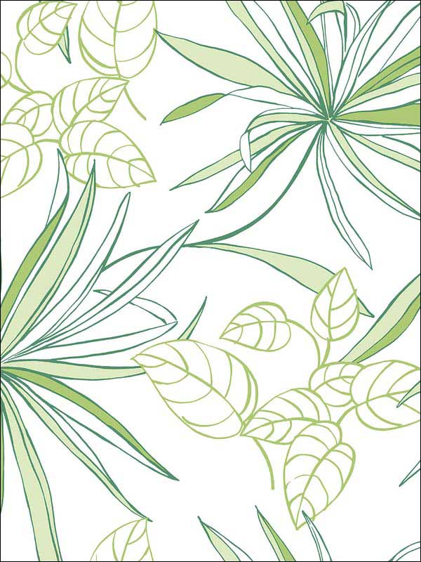 Spider Plants Peel and Stick wallpaper in green color - pattern number NW36304 - by NextWall in the Peel and Stick Wallpaper by Nextwall collection
