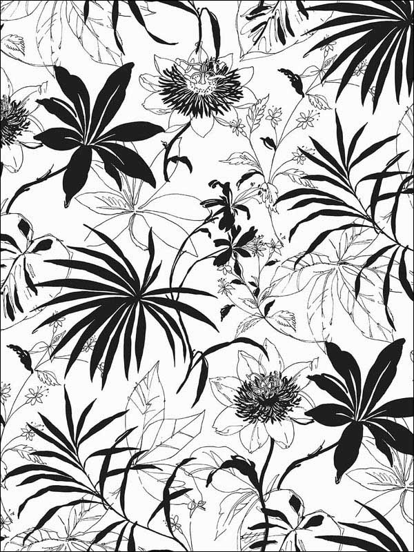 Tropical Garden Peel and Stick wallpaper in black and white color - pattern number NW37300 - by NextWall in the Peel and Stick Wallpaper by Nextwall collection