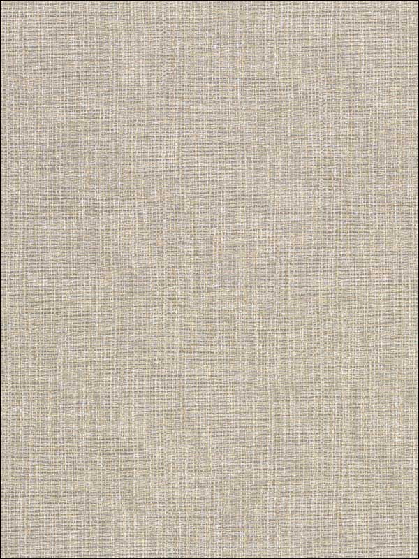 Claremont Faux Grasscloth fabric in brown color - pattern number 2921-50607 - by Warner in the Warner Textures IX 2754 Mainstreet collection