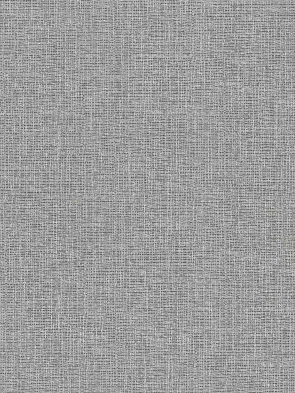 Claremont Faux Grasscloth fabric in silver color - pattern number 2921-50618 - by Warner in the Warner Textures IX 2754 Mainstreet collection