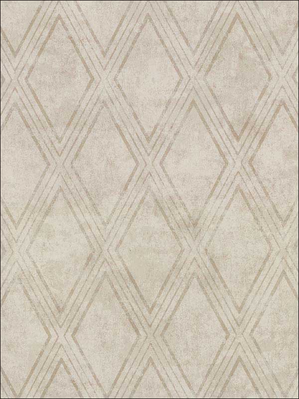 Dartmouth Faux Plaster Geometric fabric in taupe color - pattern number 2921-51005 - by Warner in the Warner Textures IX 2754 Mainstreet collection