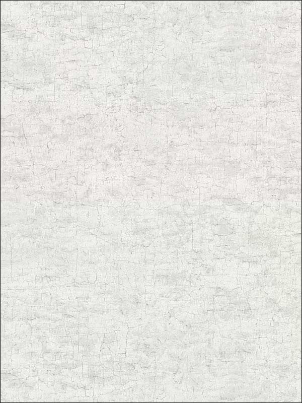 Pembroke Faux Plaster wallpaper in light grey color - pattern number 2921-51108 - by Warner in the Warner Textures IX 2754 Mainstreet collection