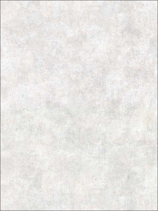 Hereford Faux Plaster wallpaper in light grey color - pattern number 2921-51200 - by Warner in the Warner Textures IX 2754 Mainstreet collection