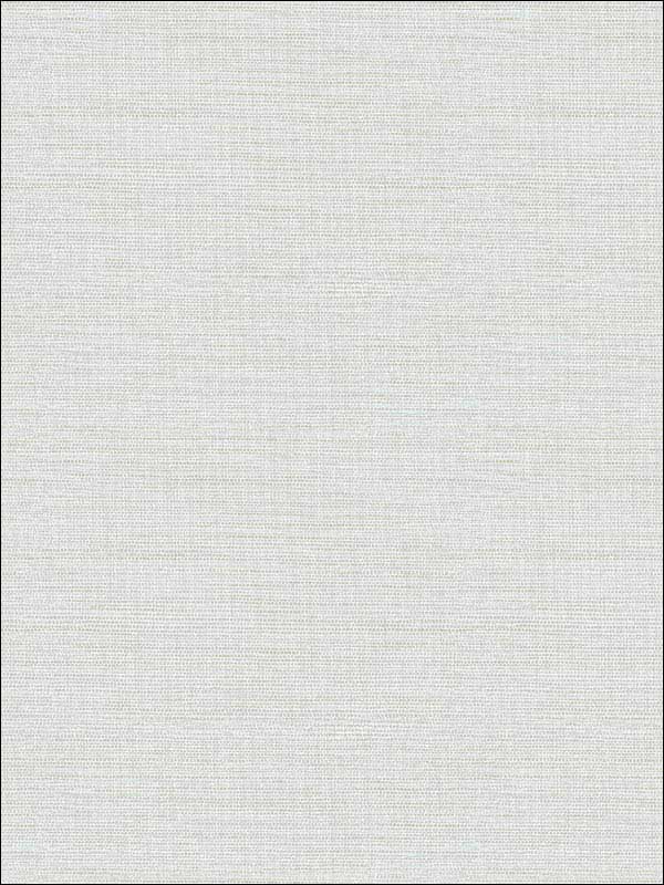 Agave Faux Grasscloth fabric in light grey color - pattern number 2902-24278 - by A Street Prints in the Theory collection