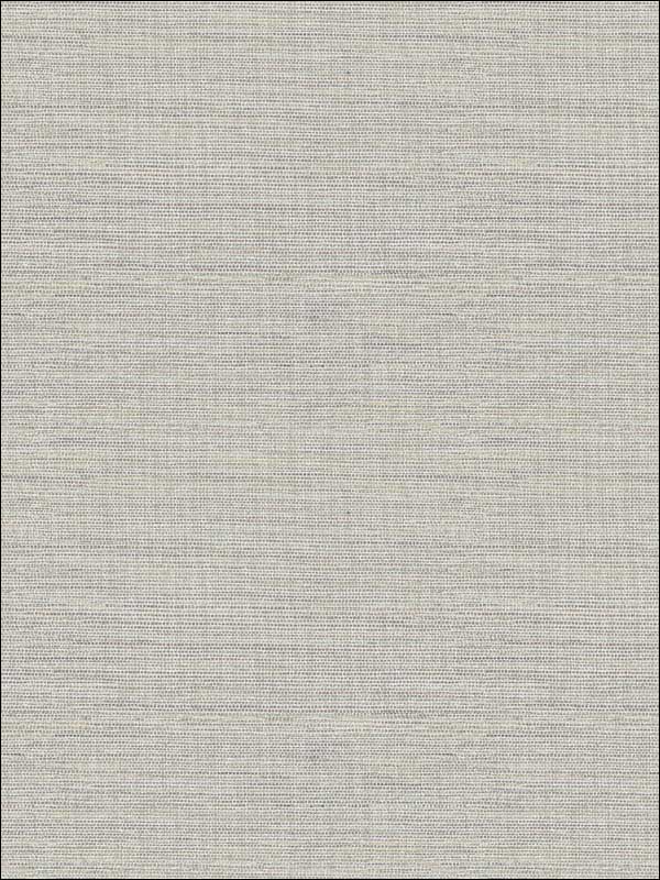 Agave Faux Grasscloth fabric in dove color - pattern number 2902-24279 - by A Street Prints in the Theory collection