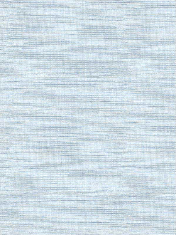 Agave Faux Grasscloth fabric in blue color - pattern number 2902-24283 - by A Street Prints in the Theory collection