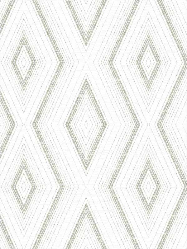 Santa Cruz Geometric fabric in grey color - pattern number 3120-13663 - by Chesapeake in the Sanibel collection