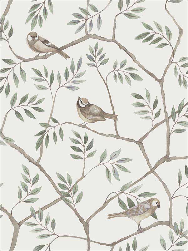 Crossbill Branches wallpaper in off white color - pattern number 2948-27015 - by A Street Prints in the Spring collection