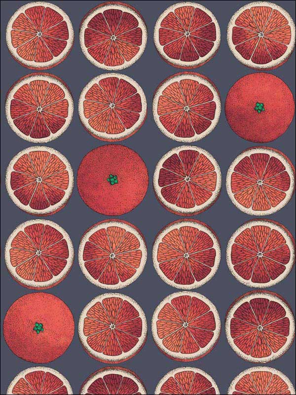 Arance wallpaper in blood orange ink color - pattern number 114/24046.CS.0 - by Cole and Son in the Fornasetti Senza Tempo collection