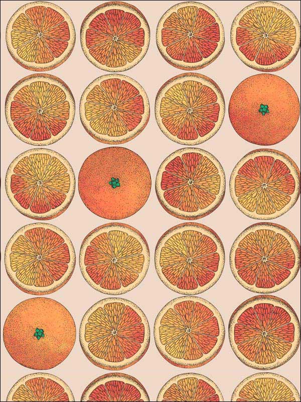 Arance wallpaper in orange cream color - pattern number 114/24047.CS.0 - by Cole and Son in the Fornasetti Senza Tempo collection