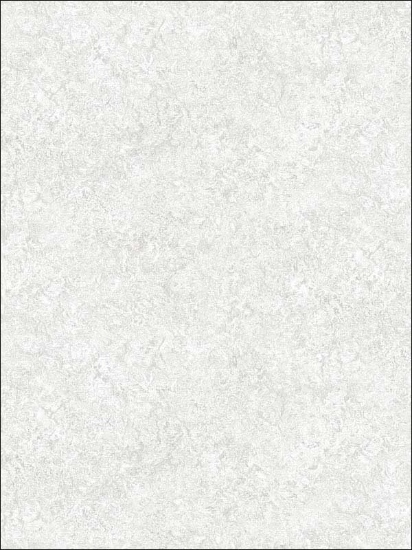 Watermark fabric in taupe stone grey color - pattern number FW36846 - by Patton Norwall in the Fresh Watercolors collection