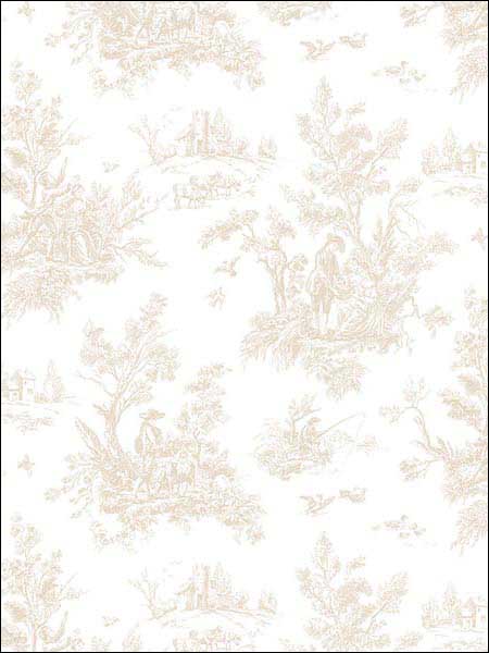 Toile fabric in brown color - pattern number AB27655 - by Patton Norwall in the Flourish collection