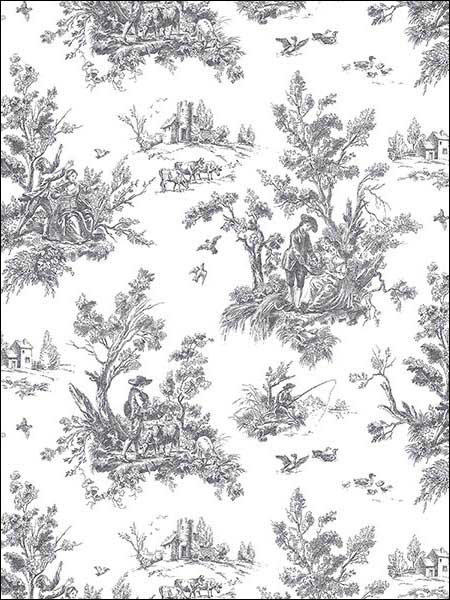 Toile fabric in black color - pattern number AB42413 - by Patton Norwall in the Flourish collection