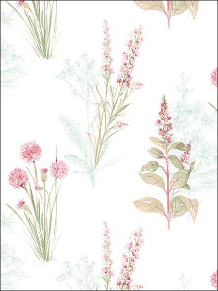 Flora fabric in pink green color - pattern number AB42442 - by Patton Norwall in the Flourish collection
