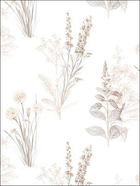 Flora fabric in grey sepia beige color - pattern number AB42446 - by Patton Norwall in the Flourish collection