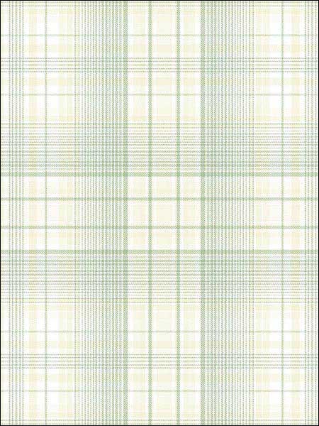 Check Plaid fabric in green color - pattern number AF37717 - by Patton Norwall in the Flourish collection