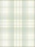Check Plaid fabric in green color - pattern number AF37717 - by Patton Norwall in the Flourish collection