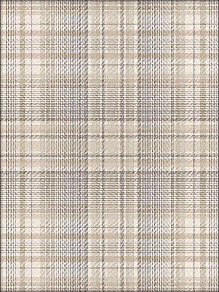 Check Plaid fabric in beige coffee grey color - pattern number AF37721 - by Patton Norwall in the Flourish collection