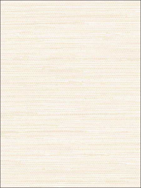 Grasscloth fabric in beige color - pattern number SB37919 - by Patton Norwall in the Simply Silks 4 collection