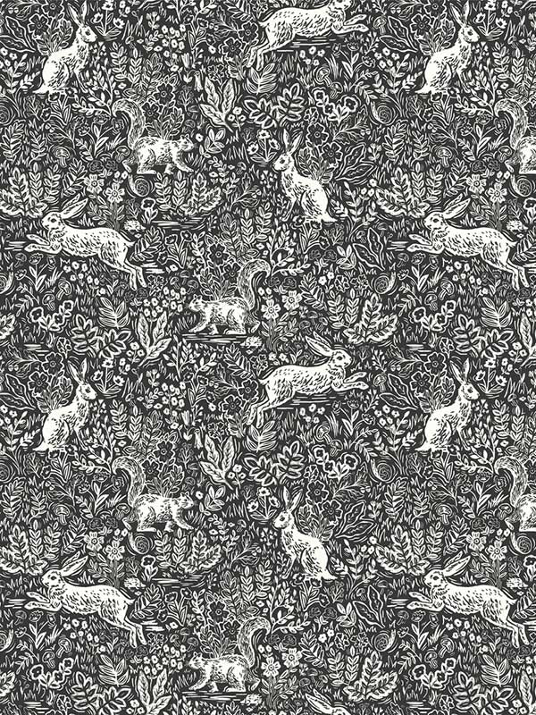 Fable fabric in black and white color - pattern number RI5105 - by Rifle Paper Co in the Rifle Paper Co collection