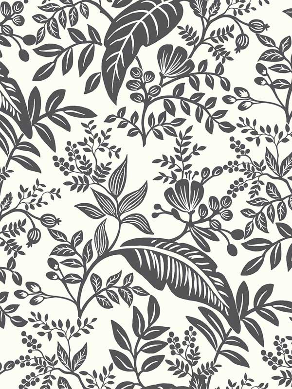 Canopy wallpaper in black and white color - pattern number RI5136 - by Rifle Paper Co in the Rifle Paper Co collection