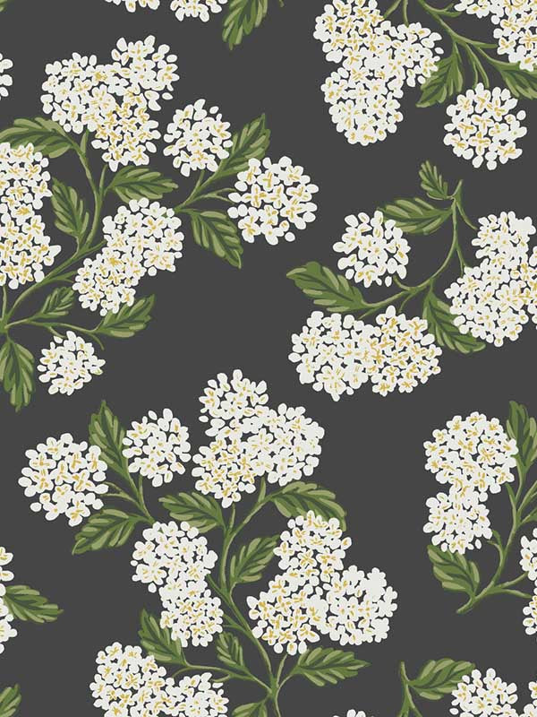 Hydrangea fabric in black and white color - pattern number RI5146 - by Rifle Paper Co in the Rifle Paper Co collection
