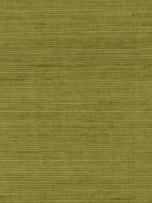 Sisal Grasscloth fabric in olive color - pattern number LN11804 - by Seabrook in the Lillian August Luxe Retreat collection