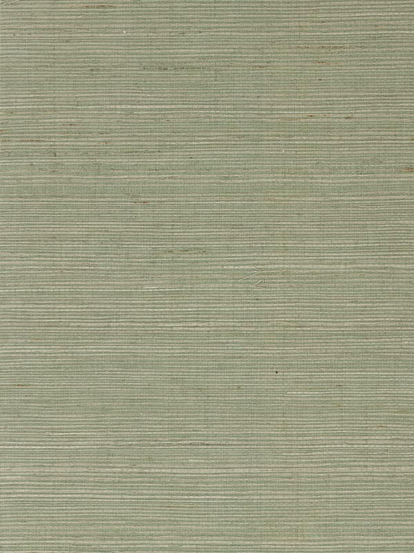 Sisal Grasscloth fabric in tender green color - pattern number LN11824 - by Seabrook in the Lillian August Luxe Retreat collection