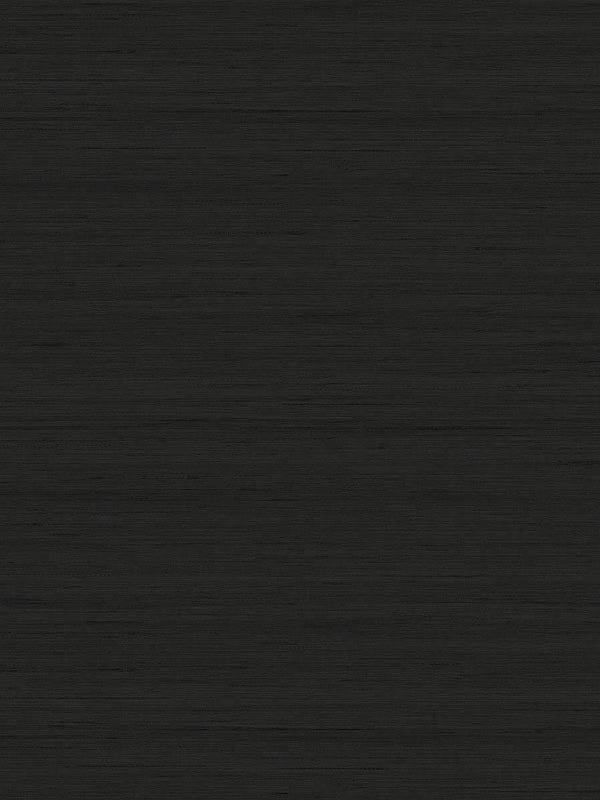 Shantung Silk fabric in blacksmith color - pattern number TC70300 - by Seabrook in the More Textures collection
