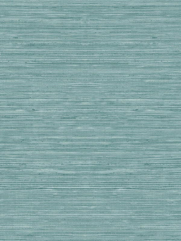 Sisal Hemp fabric in ginko color - pattern number TC70704 - by Seabrook in the More Textures collection