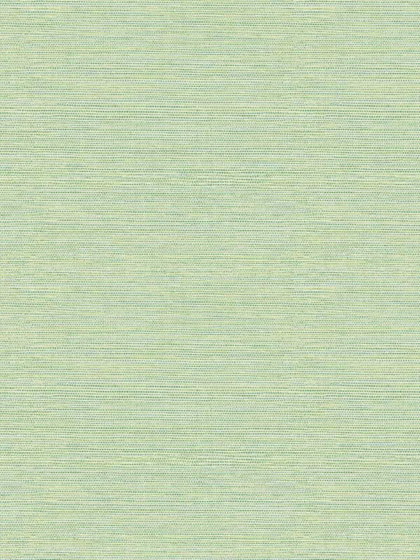 Agave Imitation Grasscloth Look fabric in green color - pattern number 2969-24284 - by A Street Prints in the Pacifica collection