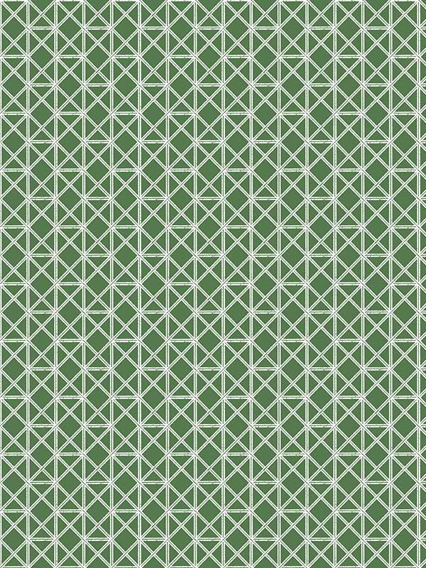 Lisbeth Geometric Lattice fabric in green color - pattern number 2969-26001 - by A Street Prints in the Pacifica collection
