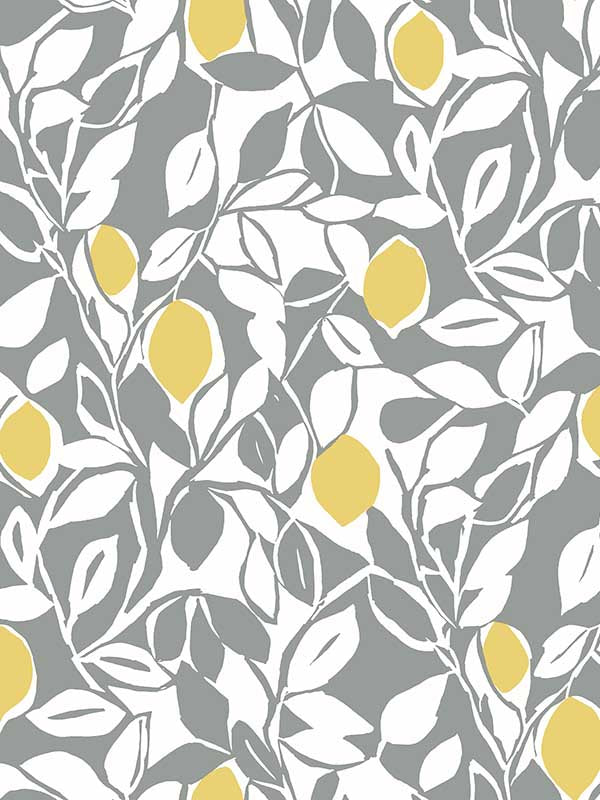 Loretto Citrus wallpaper in grey color - pattern number 2969-26025 - by A Street Prints in the Pacifica collection