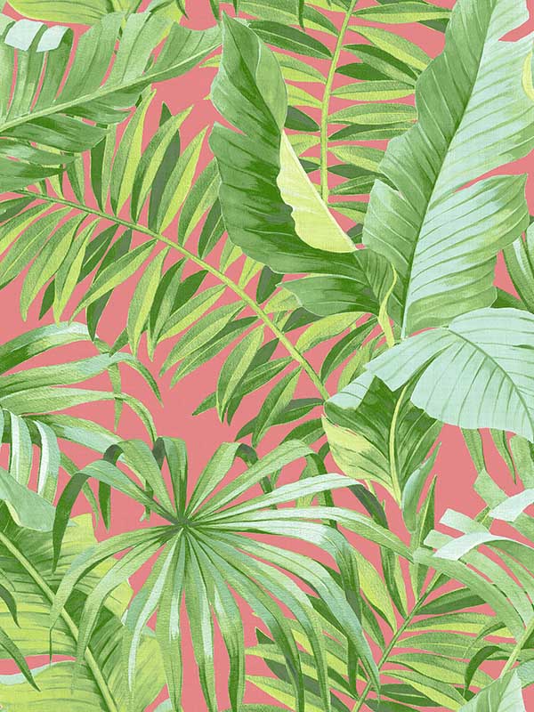 Alfresco Tropical Palm fabric in coral color - pattern number 2969-26055 - by A Street Prints in the Pacifica collection