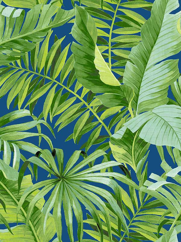 Alfresco Tropical Palm fabric in jade color - pattern number 2969-26056 - by A Street Prints in the Pacifica collection