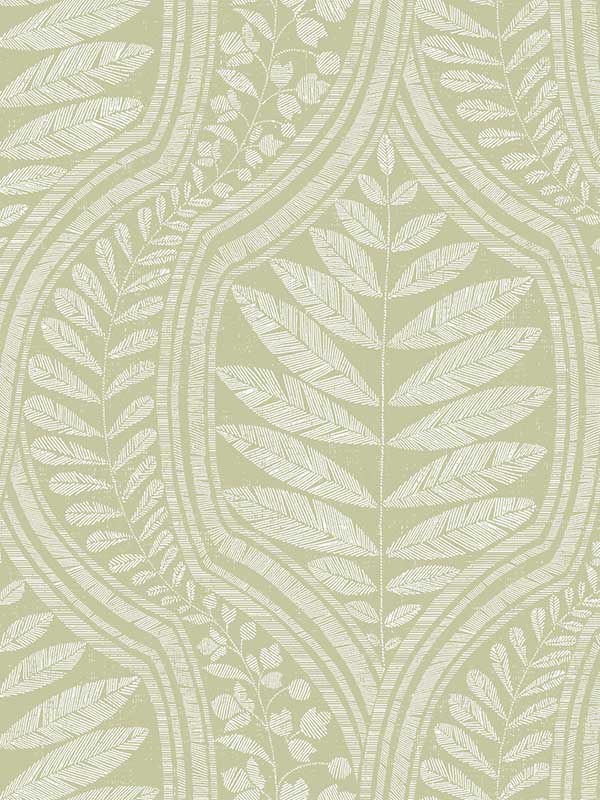 Juno Ogee wallpaper in green color - pattern number 2964-25952 - by A Street Prints in the Scott Living collection