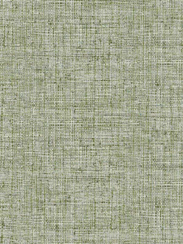 Papyrus Weave fabric in green color - pattern number CY1561 - by York in the Grasscloth Resource Library collection
