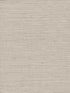Essence fabric in beige color - pattern number GL0510N - by York in the Grasscloth Resource Library collection