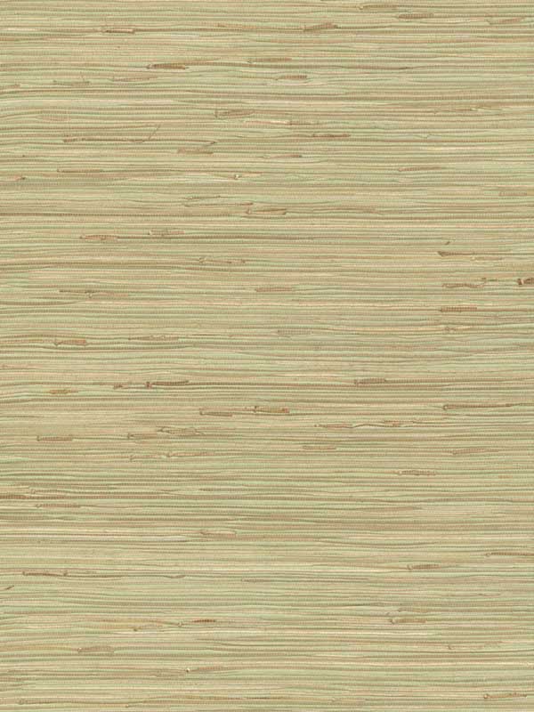River Grass fabric in green color - pattern number NZ0780 - by York in the Grasscloth Resource Library collection