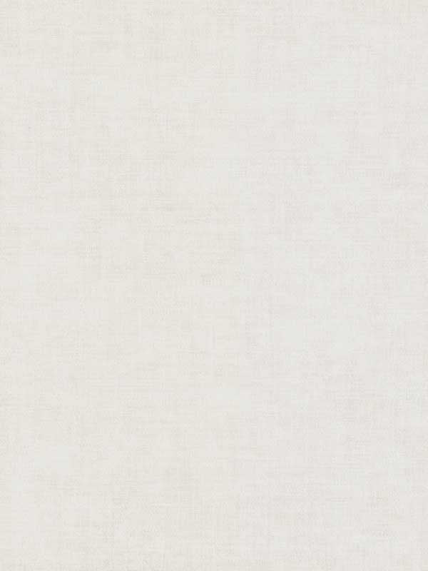 Gunny Sack Texture fabric in white color - pattern number 5550 - by York in the Tropics Resource Library collection