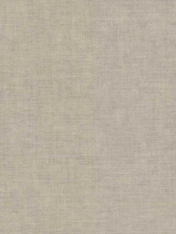 Gunny Sack Texture fabric in taupe color - pattern number 5553 - by York in the Tropics Resource Library collection