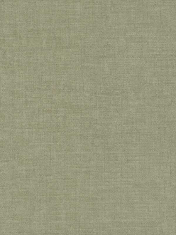 Gunny Sack Texture fabric in green color - pattern number 5974 - by York in the Tropics Resource Library collection