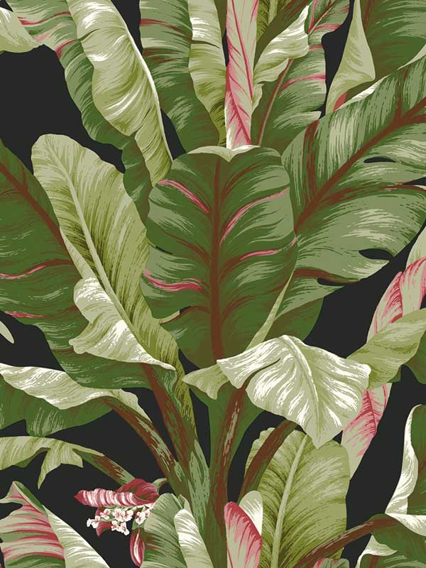 Banana Leaf fabric in black and red color - pattern number AT7071 - by York in the Tropics Resource Library collection