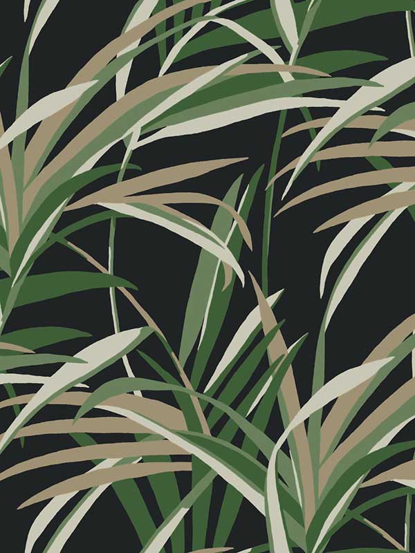 Tropical Paradise fabric in green and black color - pattern number TC2606 - by York in the Tropics Resource Library collection